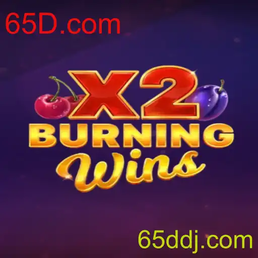 Descubra o Fascínio de BurningWinsX2: Um Mergulho em Suas Regras e Experiências